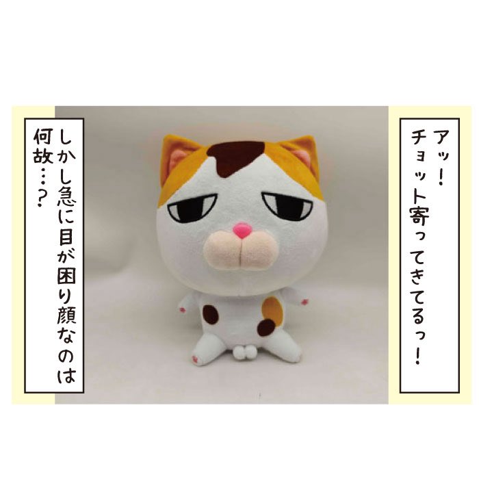 まめまめ工房秘密基地 (@mamekouboo) / Posts / X