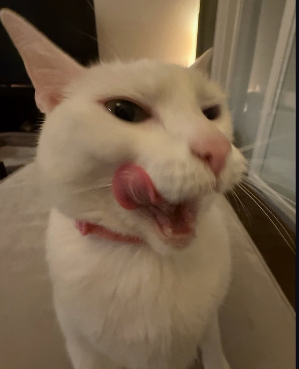 JakeCR tweet media