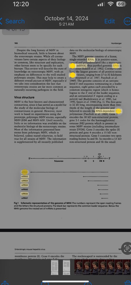 austindrake59's tweet image. @DrAngela4Health you might find these studies interesting about mice &amp;amp; coronaviruses
&amp;amp; covid &amp;amp; MRNA &amp;amp; Rna &amp;amp; even Ralph Baric