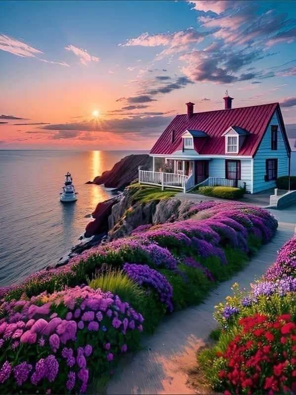 𝗦𝗮𝗺 𝗫 tweet media