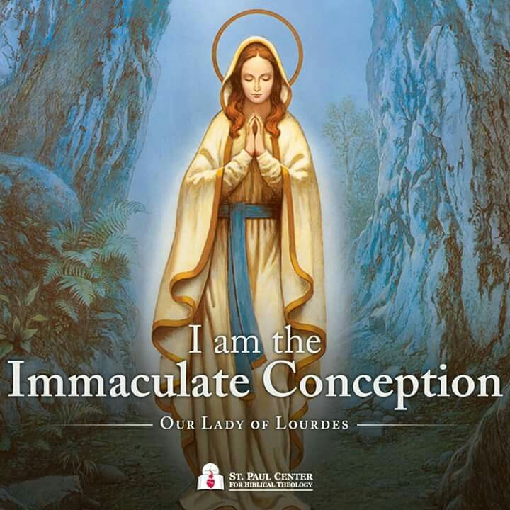Happy feast of the Immaculate Conception! I had the honor of altar serving for the first time at a high mass today, and I hoped that would be the case. When I got asked, all I could think was 'Our Lady spoils me.'