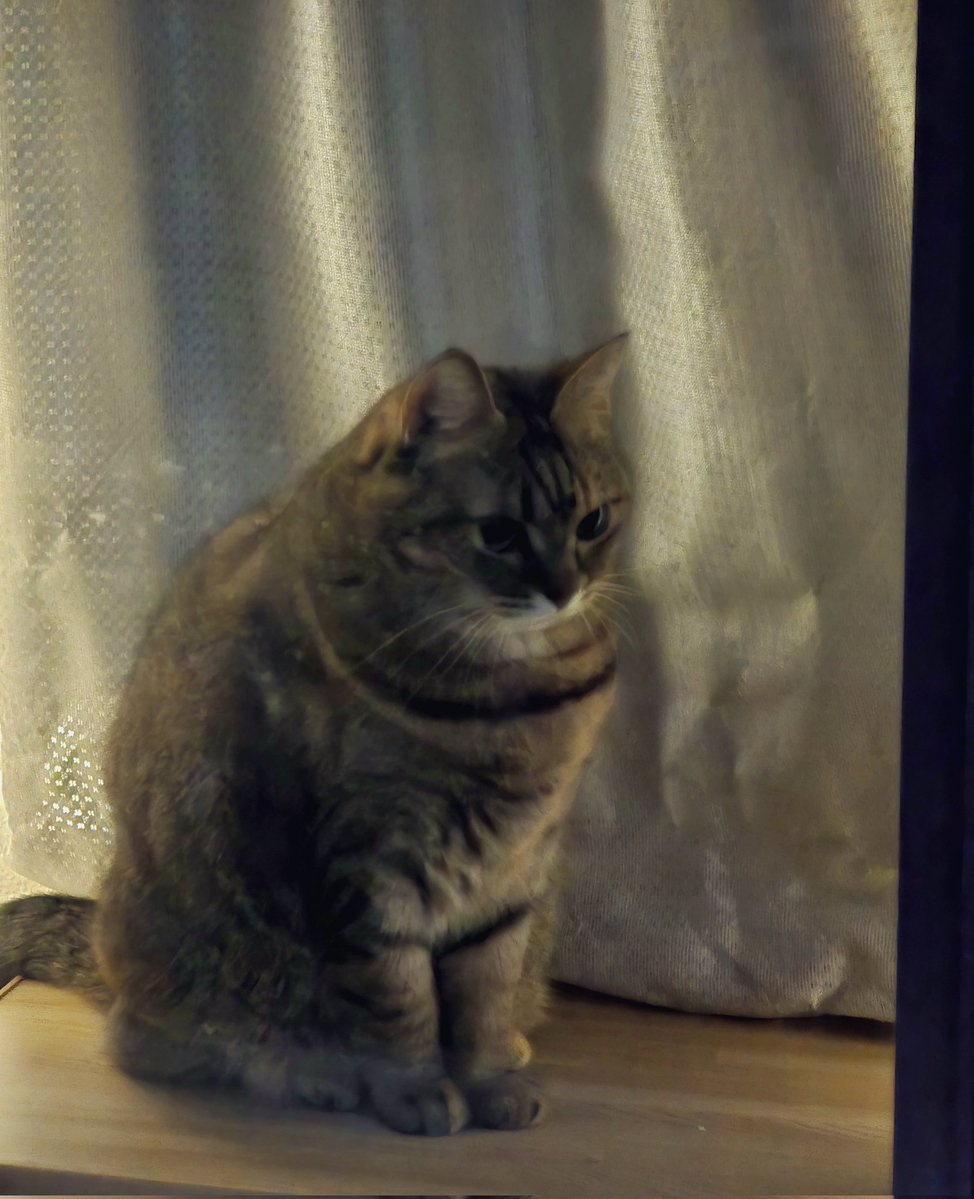 みーちゃん (@pon3767) / Posts / X