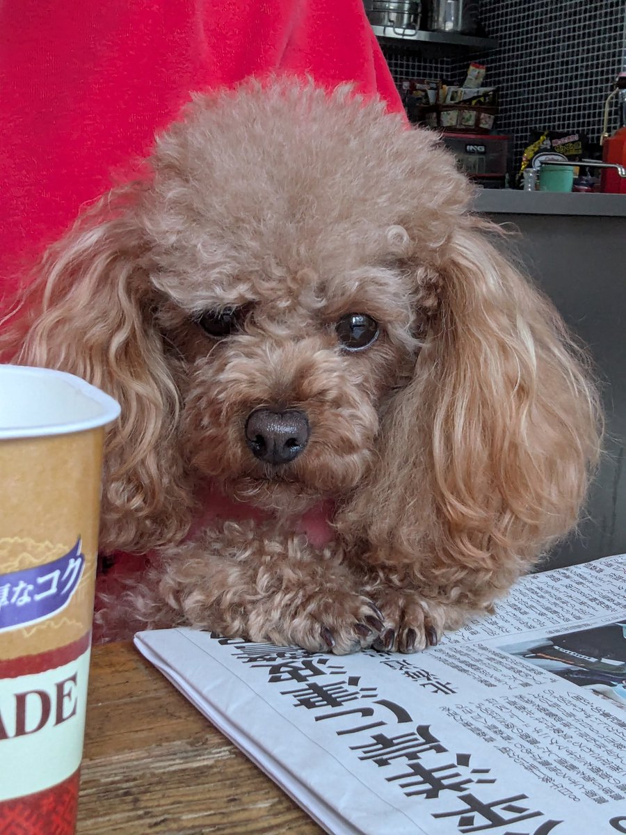 名無し三等兵🐧🍊™️ (@3rdClass774) / Posts / X