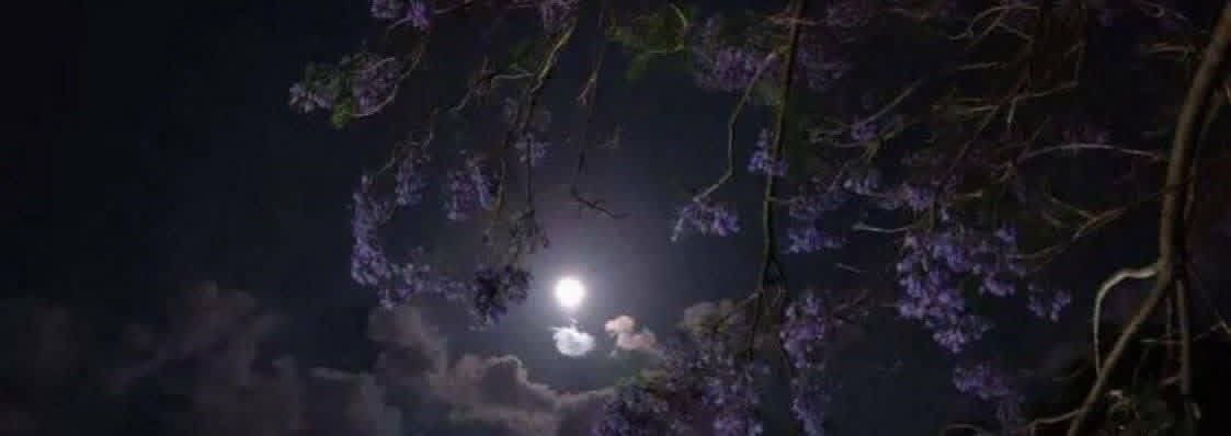 وصرنا بعد حلو اليالي غريبينَ