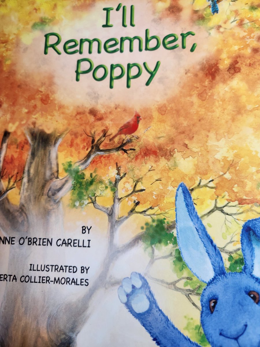 Anne O'Brien Carelli tweet media