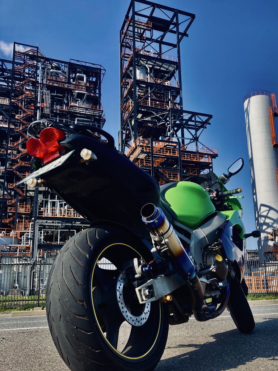 ひげだんご (@tnemomi) / Posts / X