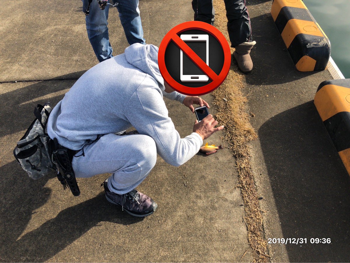 ███マイティソゥ█🦷🔨█ tweet media