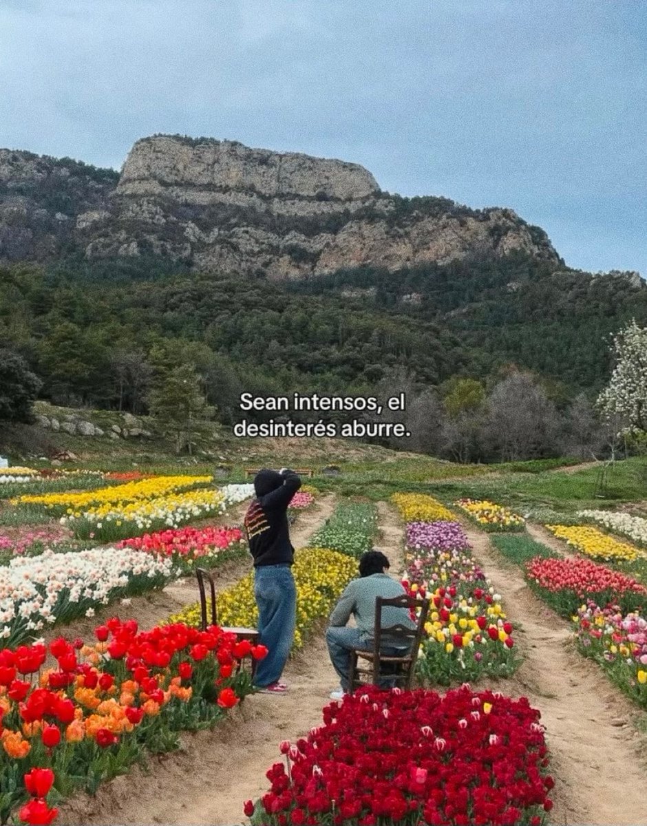 nación (@escritosnacion) on Twitter photo 