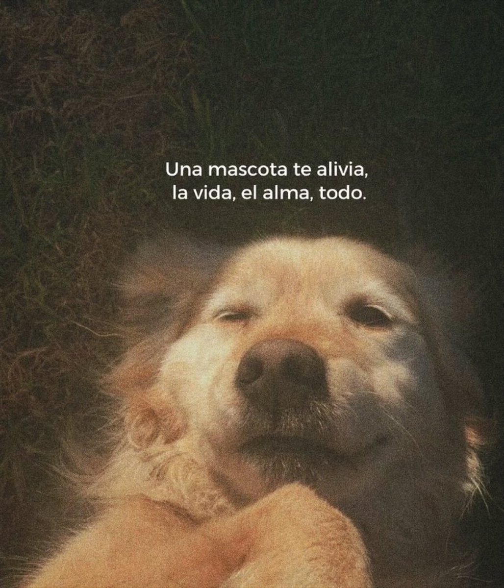 nación (@escritosnacion) on Twitter photo 