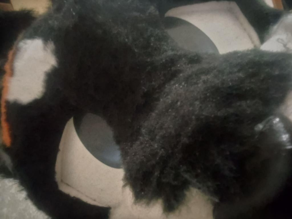 おはよーー
昨日は地震怖くて心細くなり枕元にヘッド置きながら寝てました