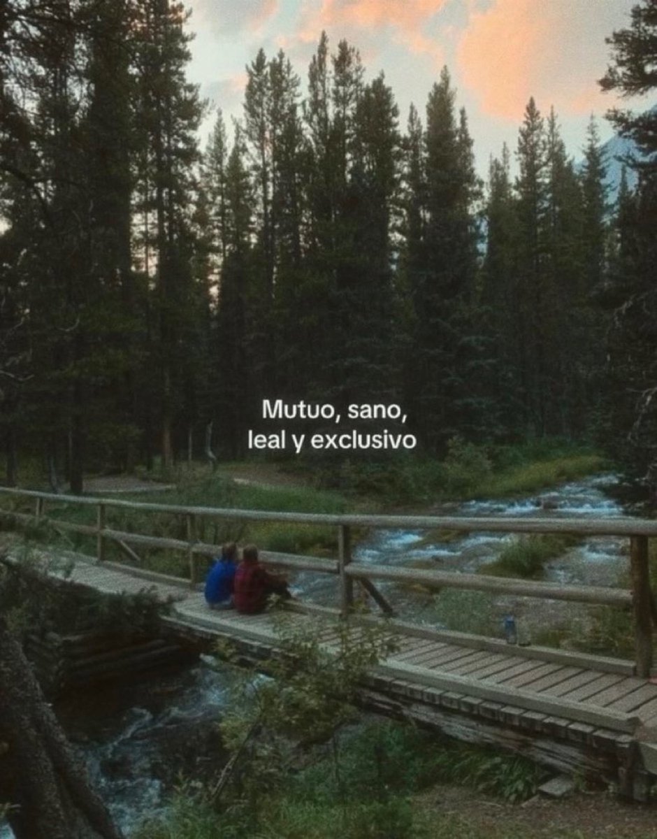 escritosnacion's tweet image. 