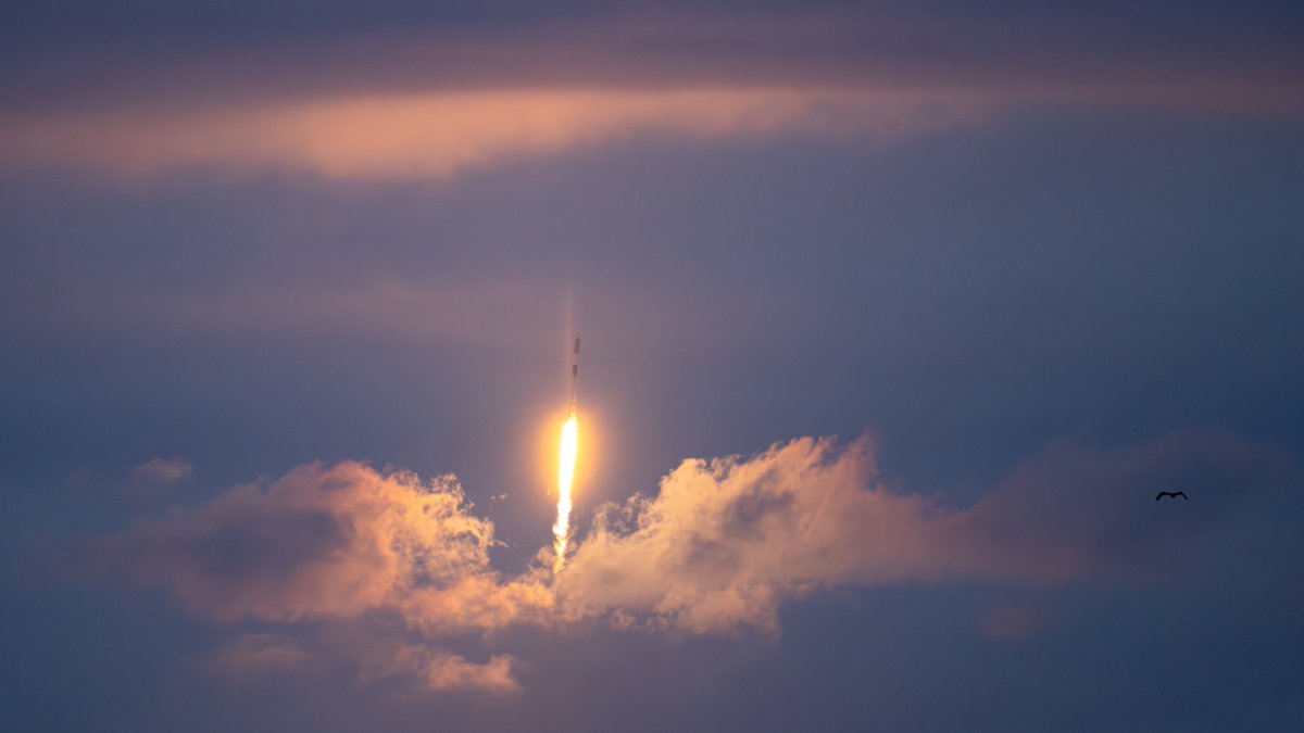 [Image: G7rpOG8XYAAH4HN?format=jpg&name=medium]