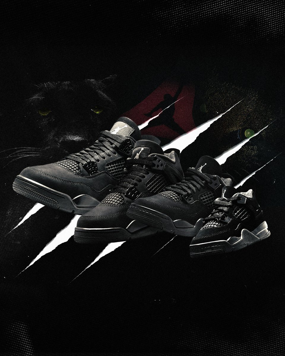 jordan 4 black cat td
