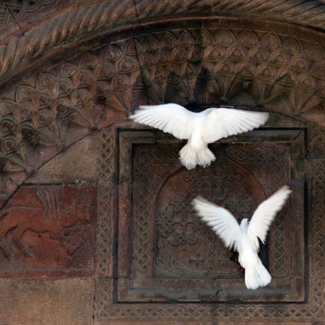 من طاب أصلهُ، طاب فعلهُ

فلا يُثمِر الغصنُ

 إلّا من طيبِ الجُذور ..

📚🌅