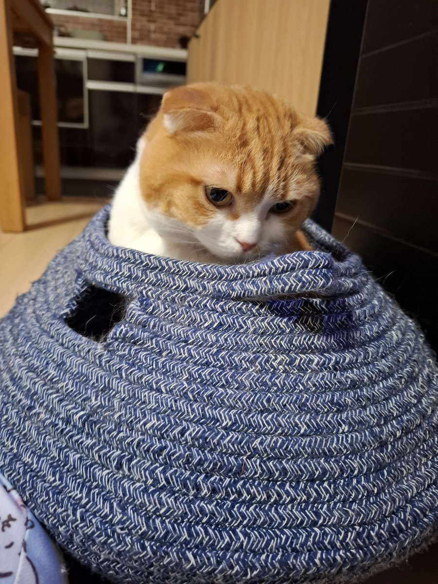 さちさちうにうに (@sachiuni0821) / Posts / X