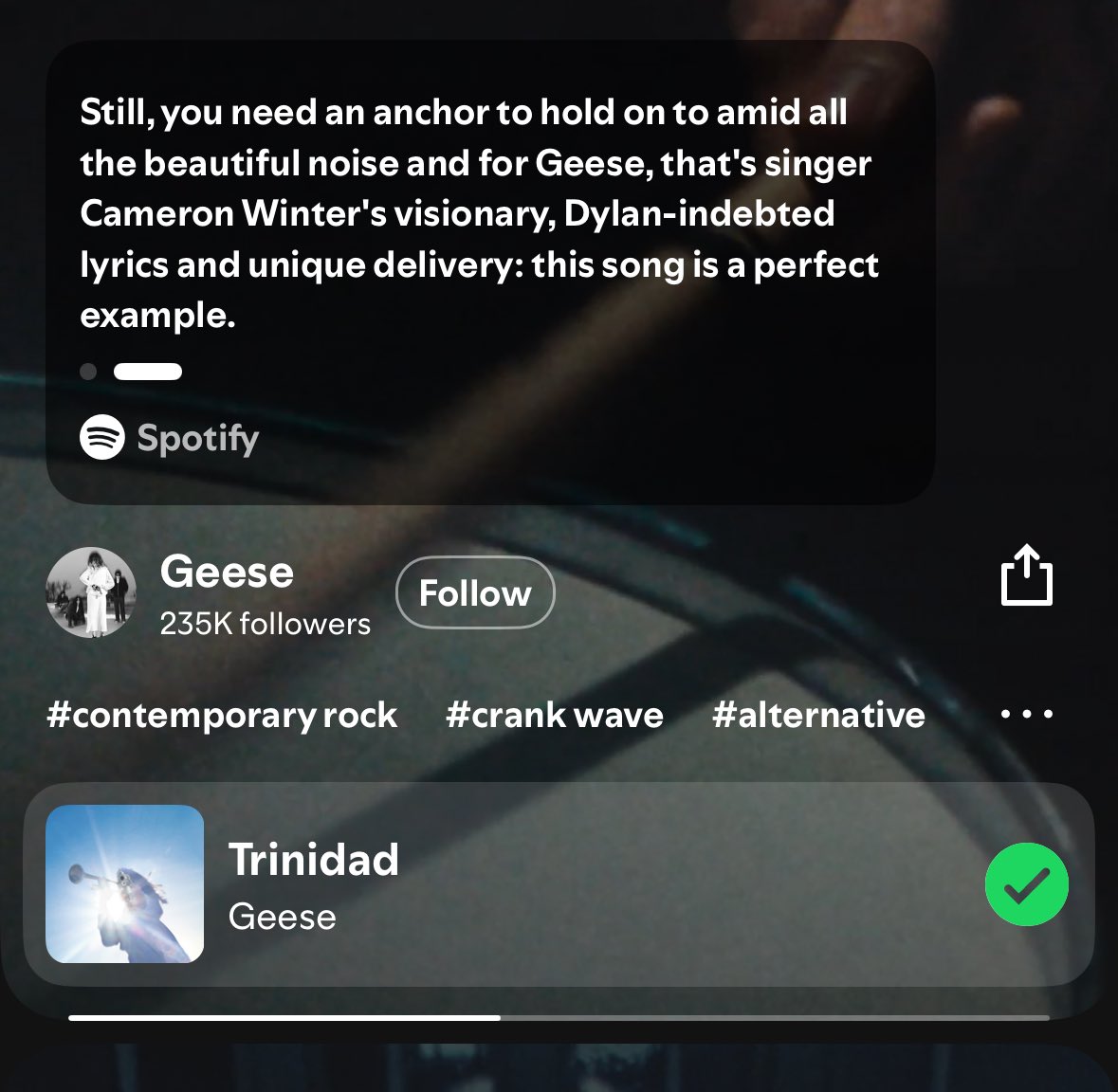 does spotify not employ copy editors anymore