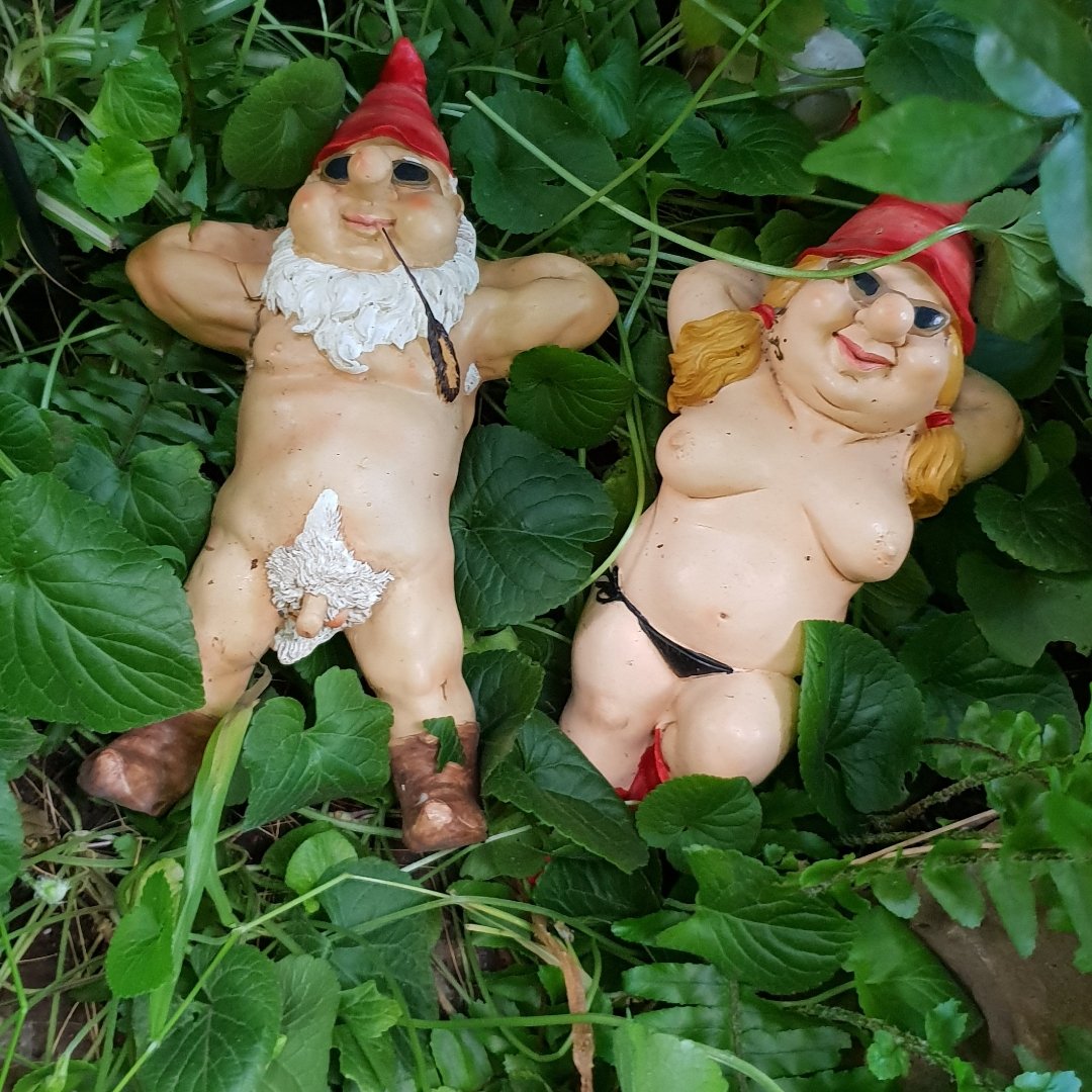 anudistau's tweet photo. Our #naked knomes https://t.co/f2mZ3BSlXG