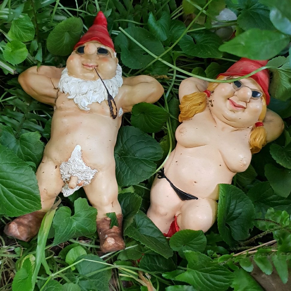 anudistau's tweet photo. Our #naked knomes https://t.co/f2mZ3BSlXG