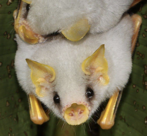 Lady Math【Commission = CLOSED】 tweet media