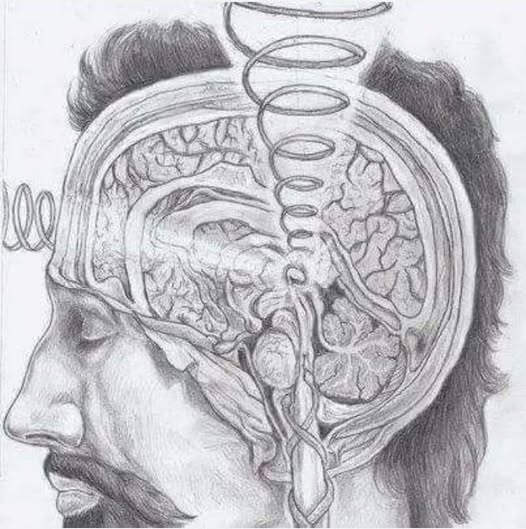 "The Pineal Gland is the WiFi button to Infinity...
The famous psychic Edgar Cayce once said, "Keep the pineal gland working and you will not grow old – you will always be young."
The pineal gland is an endocrine gland located right in the center of the skull. On a physiological
