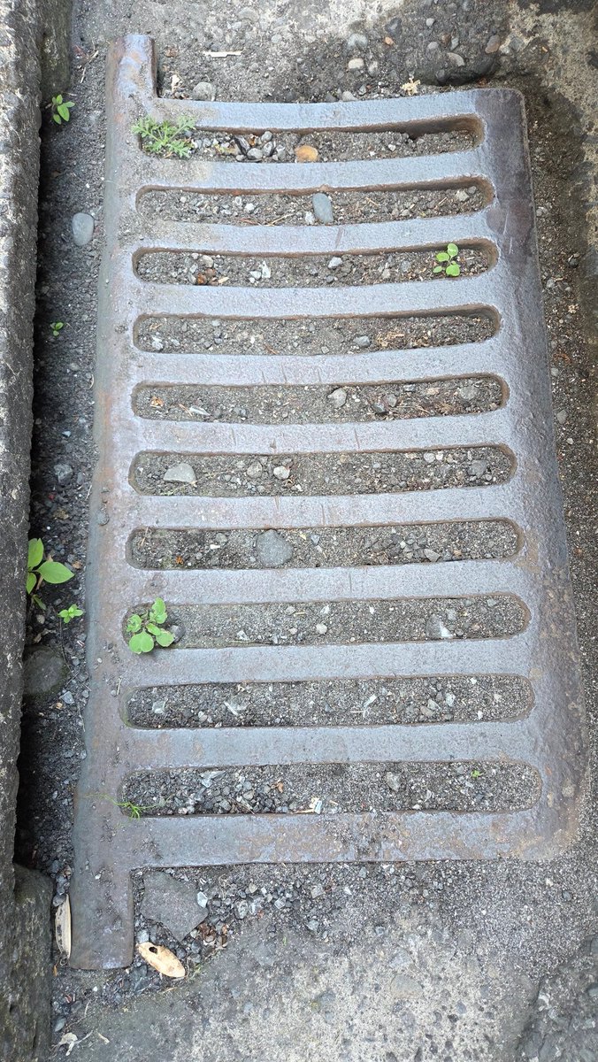 𝙶𝚛𝚊𝚗𝚝 𝙵𝚊𝚛𝚚𝚞𝚑𝚊𝚛 tweet media