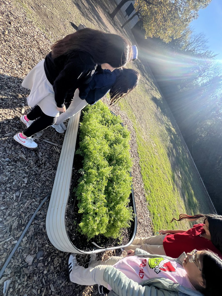 Francisco Reyna tweet media