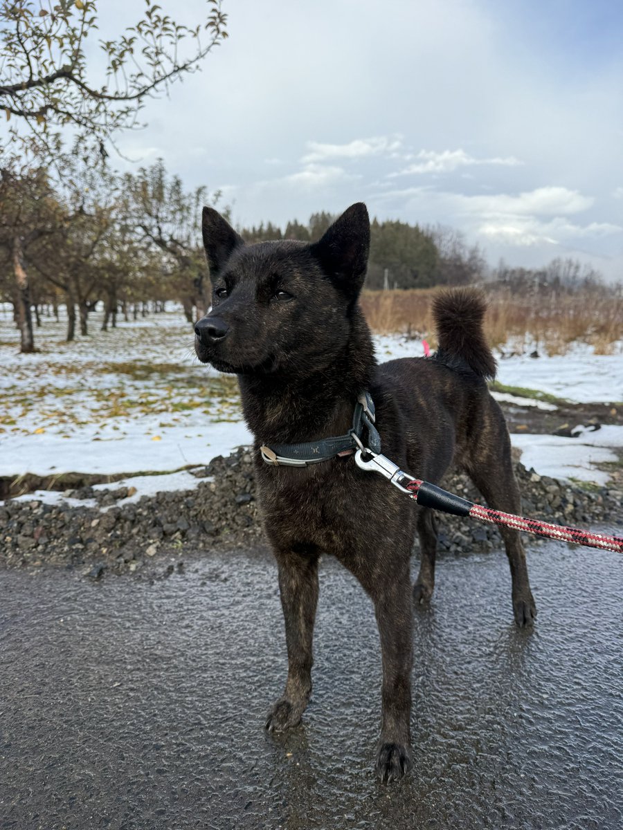 昨晩の地震、家が壊れるかと思った😓
特に被害はなくいつも通りの朝です