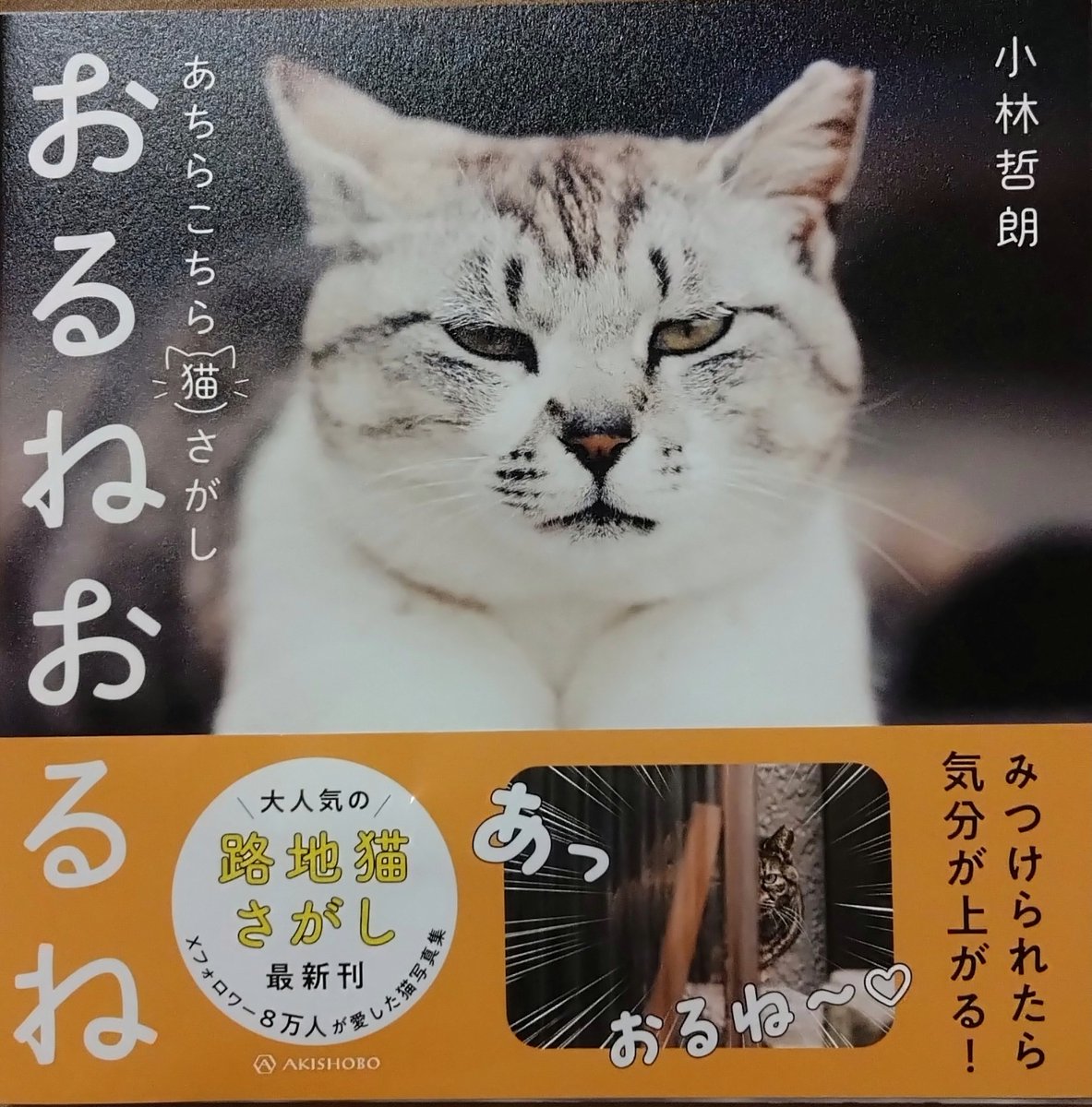 <a href="/kobateck/">小林哲朗　写真家</a> おるね😺
本屋にもおったよ😼