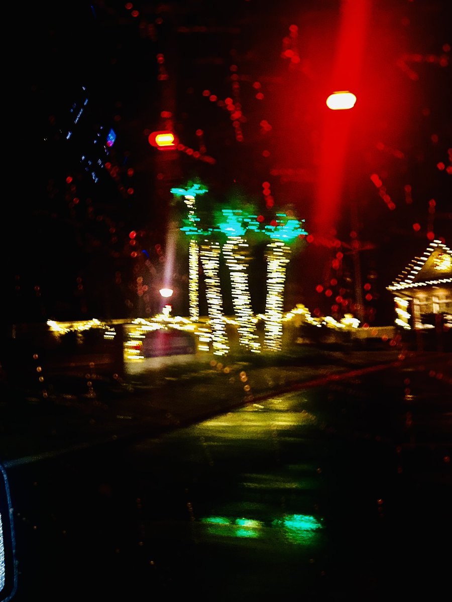 Just chillin at da place we’s stayin on our trips. We’s have seems so many fun things on day 1. We’s have ta be’s careful around here’s tho, specially near da beach. Dat sign means bizness! I hope you all had a great Monday. ❤️💚🤗 🫶🏻 😍