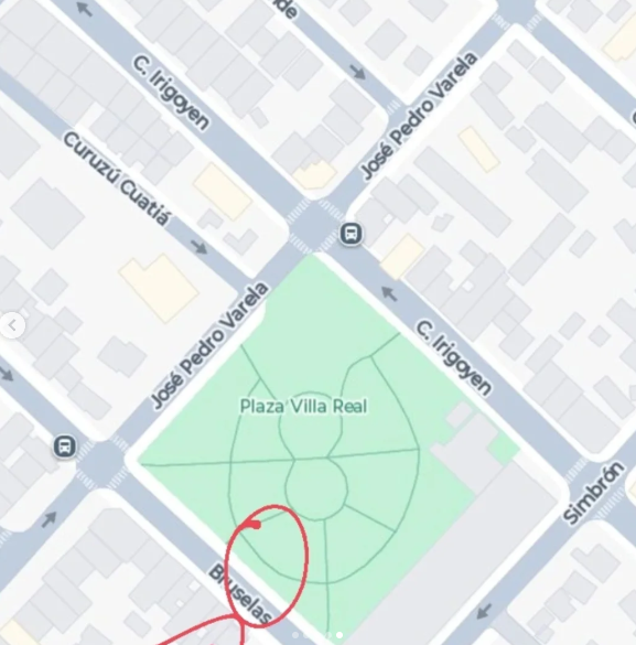 Gabriela Ivy tweet media