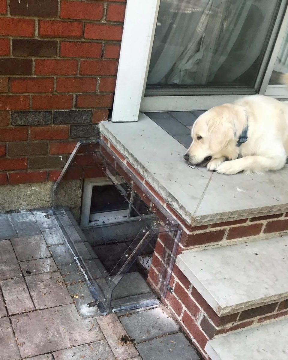 windowwell's tweet image. Atriums can help keep window wells from being a place for animals to make a cozy home.  This homeowner has a boxed in window well in a sheltered spot. Instead of bricking up the window, and losing natural light, they added an Atrium to keep it clean and pest free.