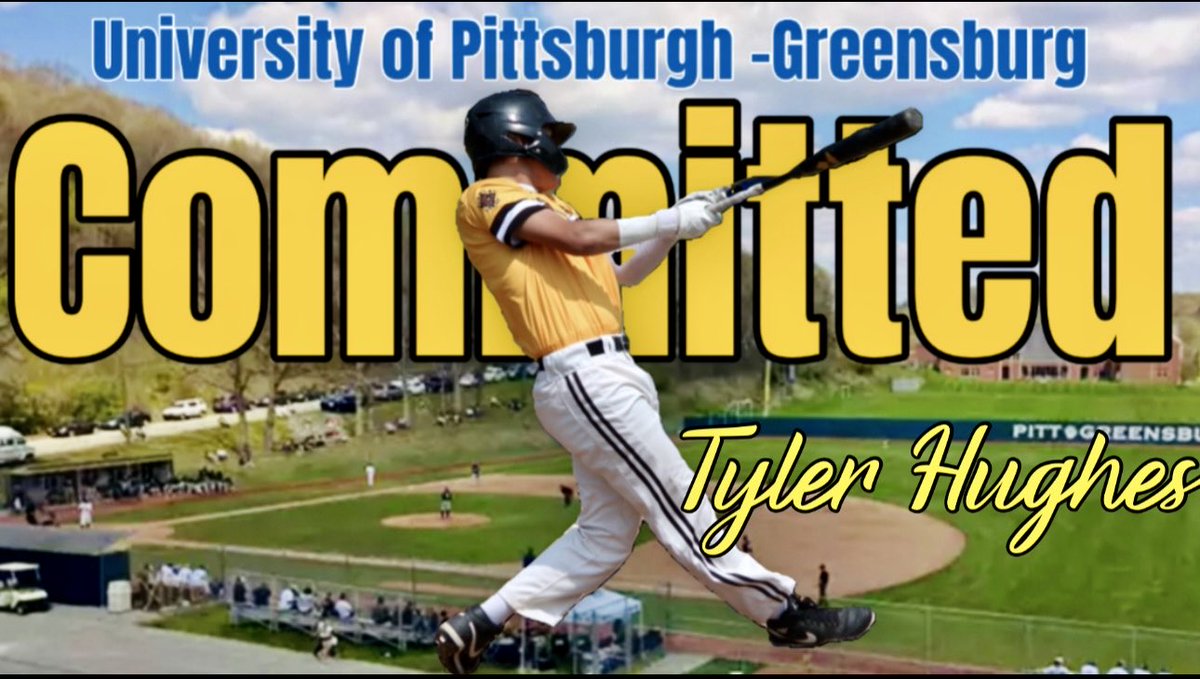 PITTSBURGH DIAMOND DAWGS BASEBALL tweet media