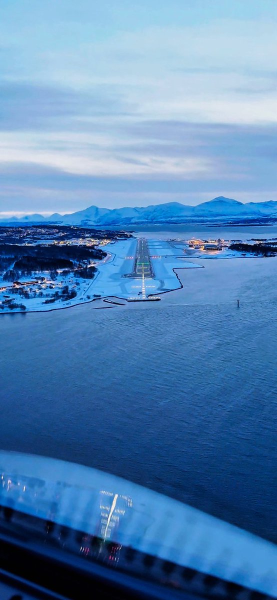 Manu Inclán tweet media