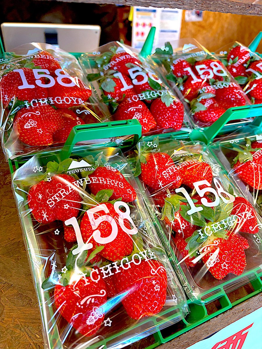 ごらぁん いちごの始まりだよ🍓🍓✨ @ichigoya_yac さんの 🍓最高