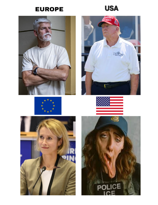 Anonymous (@youranoncentral) on Twitter photo 