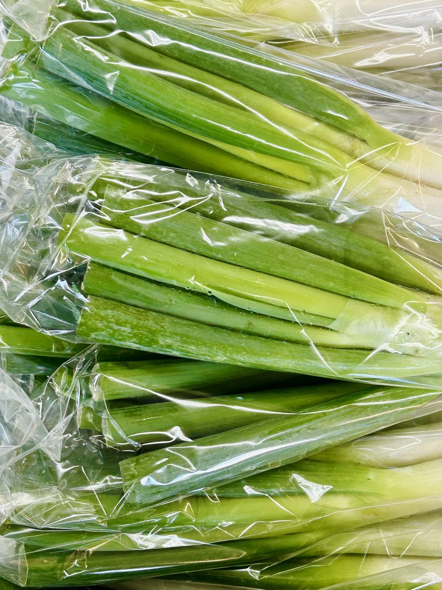 ねぎネキ (@rmn7_as11) / Posts / X