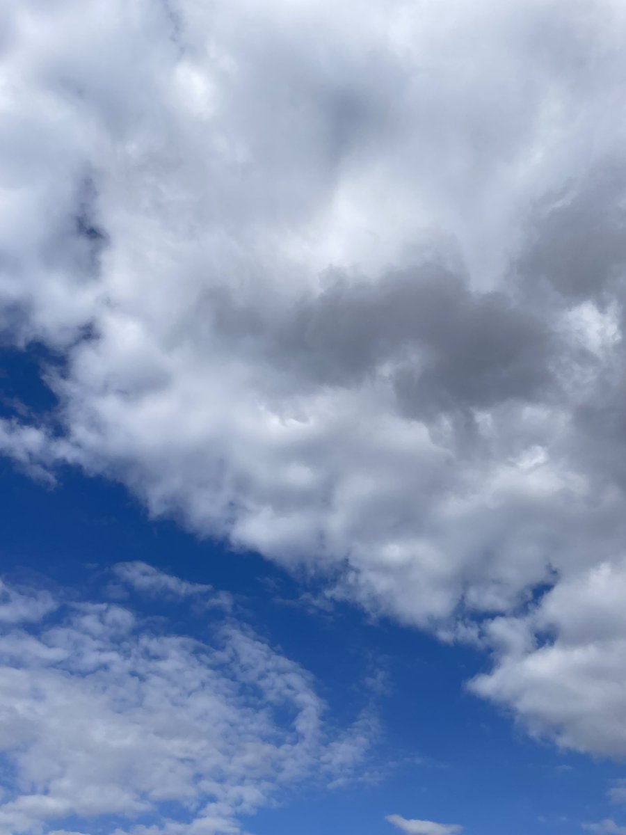 いつのまにか12月👨🏿‍🌾