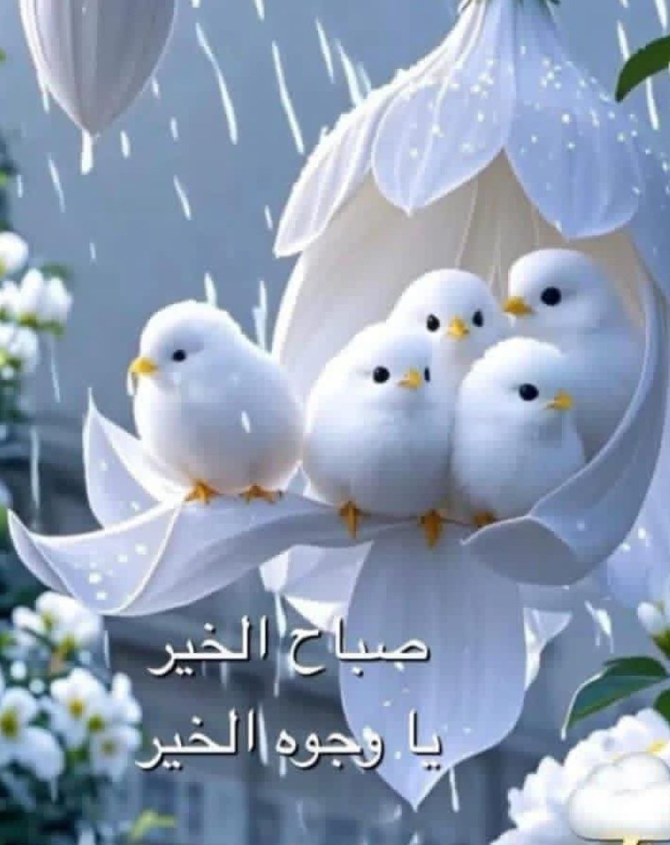 Georjass (@georjass55) on Twitter photo 