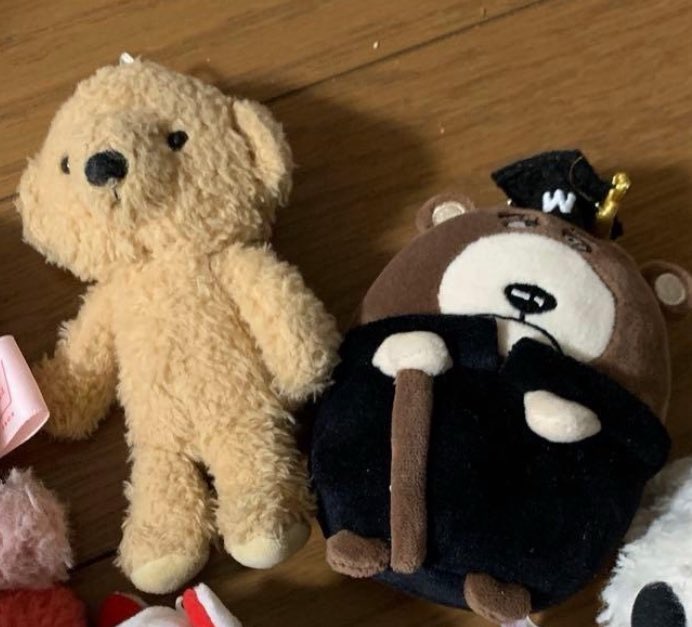 cceelaa's tweet image. wto plush keychain 7k each
ada go trusted