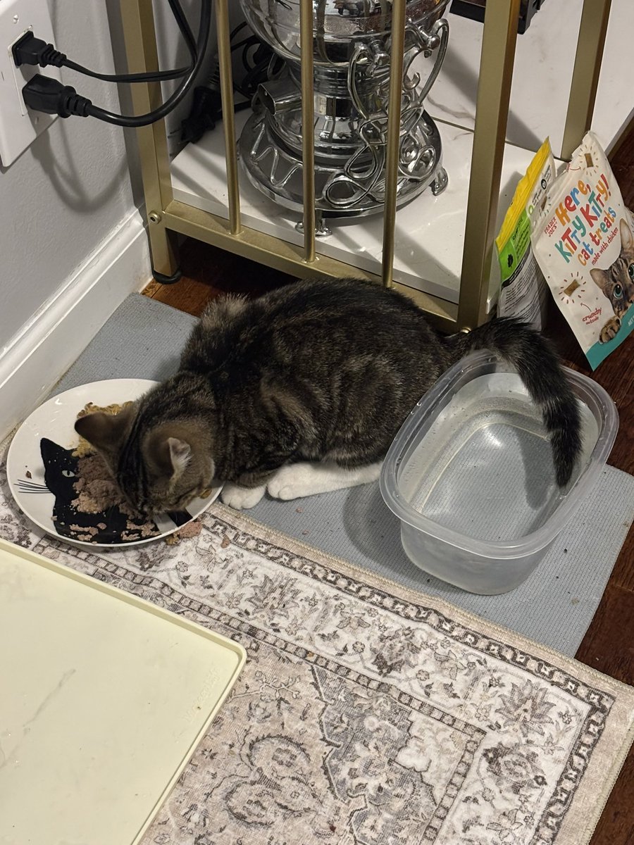 Jack Jones has a horrible case of kitten farts and it’s hazardous