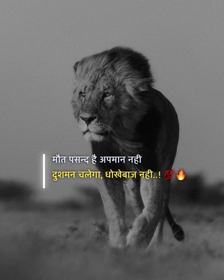 सनकी 🦋 tweet media