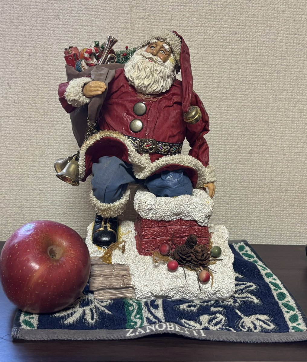 令和7年 12月9日（火曜日） 東京曇り 気温12度 やっと出しました