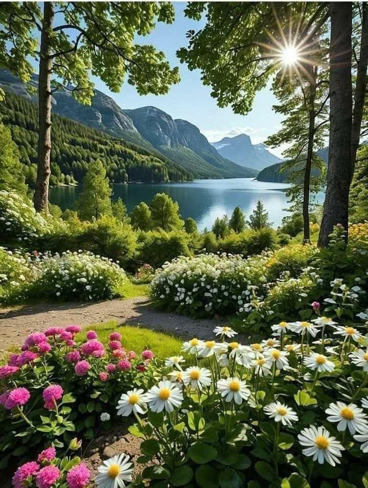 scouce007's tweet image. 💛🩷 Good Morning!🩷💛