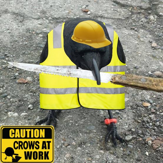 $caw crow with knife tweet media