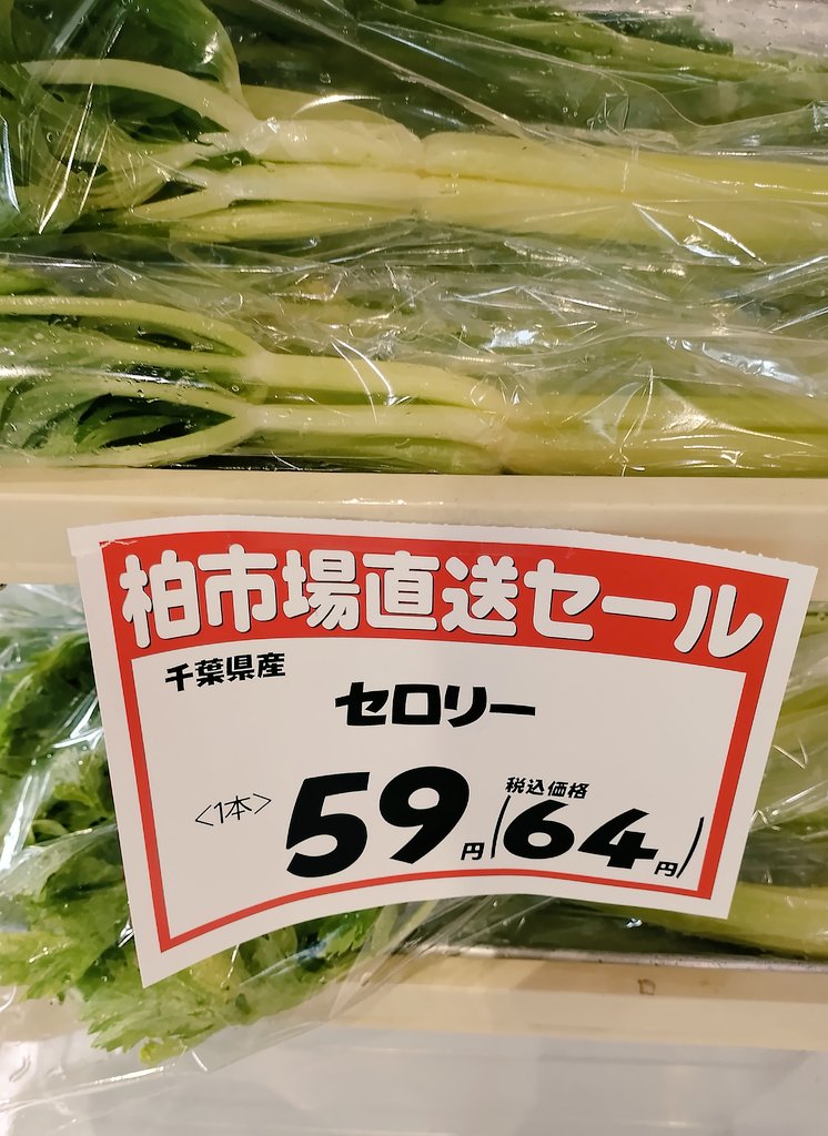 セロリなの？セロリーなの？