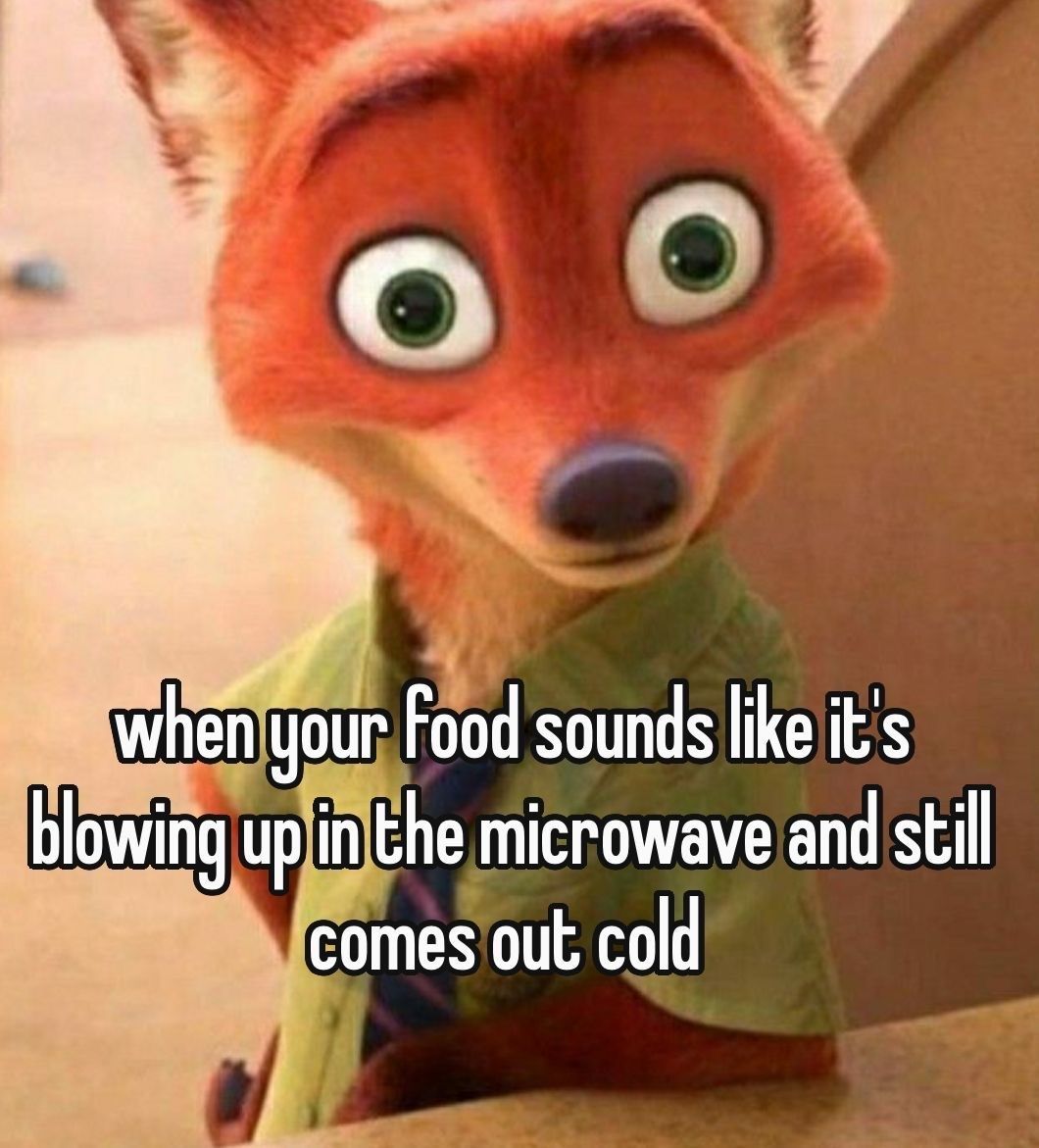 Wild TikToks (@wildtiktokss) on Twitter photo 