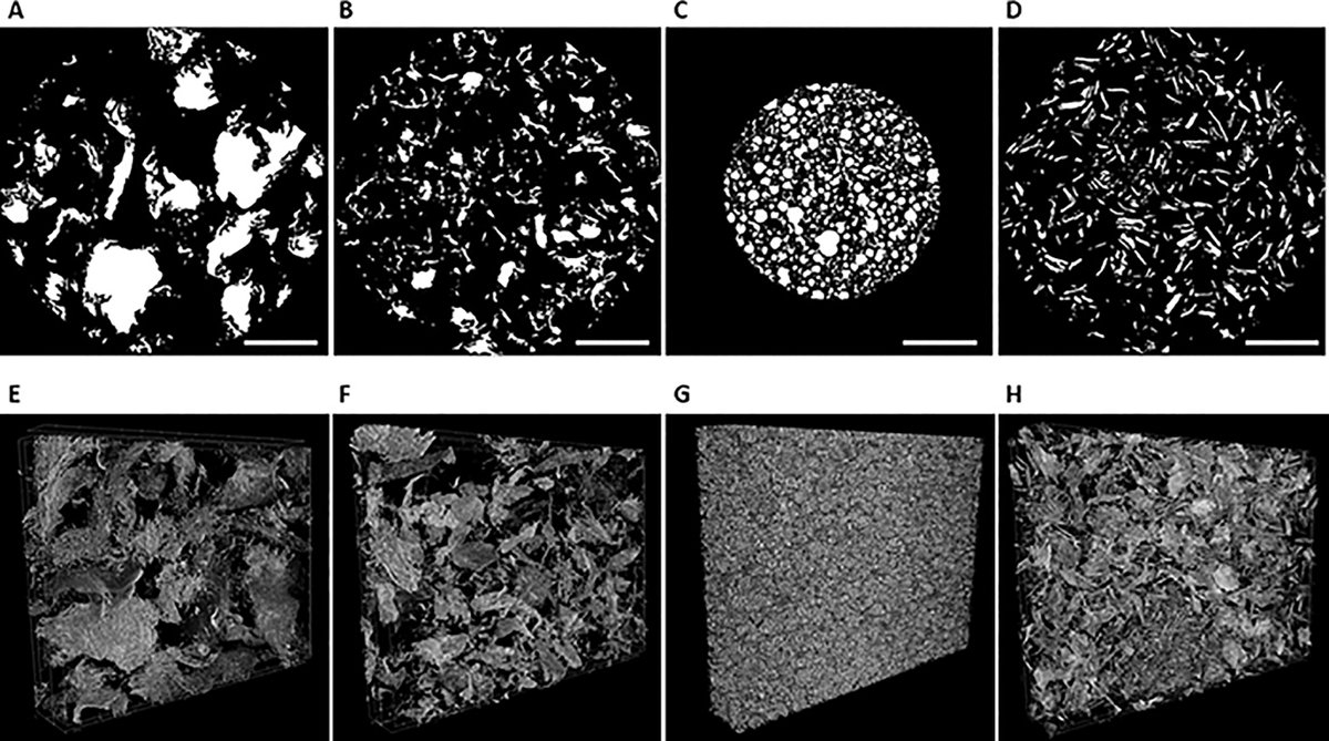 Tissue Engineering tweet media