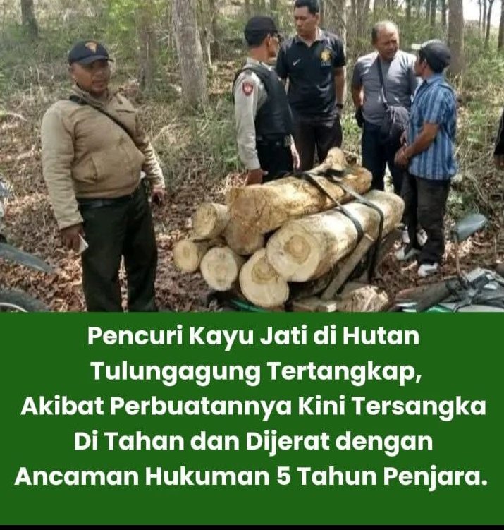 Menangkap Maling Kecil ✅✅✅
Menangkap Mafia Besar ❎❎❎