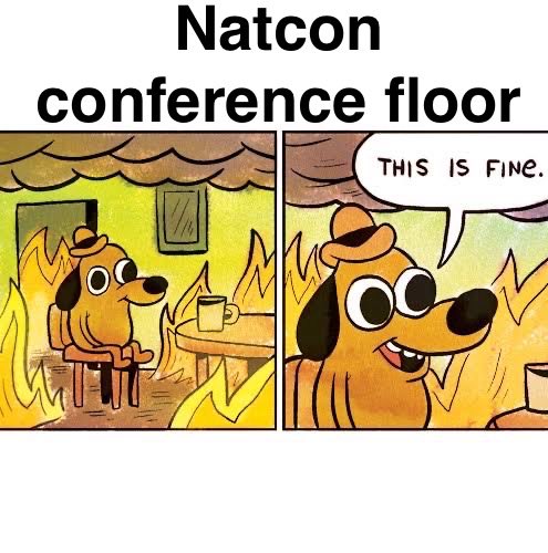 Claires_38's tweet photo. #nusnatcon25 https://t.co/zEh5sy7DDA
