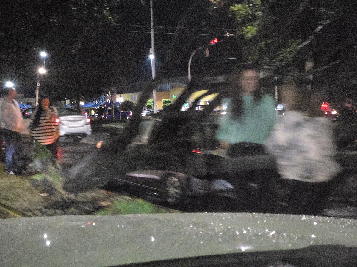 alejandro_gdl69's tweet photo. @Trafico_ZMG Por la Lluvia, arbol caido en calle Arco de la Estrella esquina con Juan Gil Preciado. En sentido a Walmart la Cima. Van llegando los bomberos. https://t.co/FwBMAQWZkd